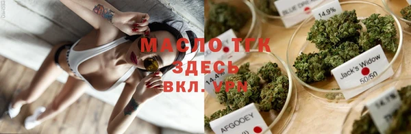 гидра Арсеньев