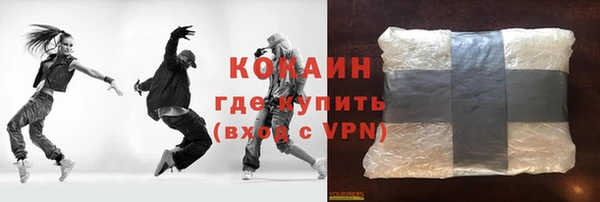 гидра Арсеньев